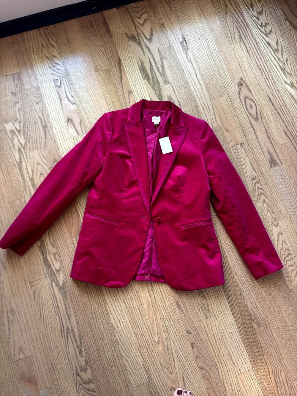NWT J.Crew Raspberry Pink Velvet One-Button Blazer Grosgrain Trim Size 6